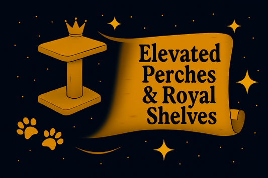 Top Elevated Perches Shelves For Cats to Boost Playtime - Purrfect Pet Kingdom