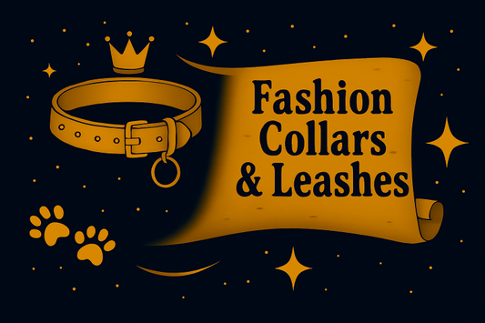 Fashion Collars & Leashes: Stylish Pet Accessories Guide - Purrfect Pet Kingdom