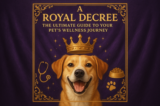 A Royal Decree: The Ultimate Guide to Your Pet's Wellness Journey πβ¨