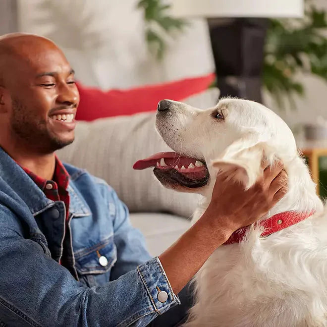 Milk-Bone Original Large Dog Biscuits - Purrfect Pet Kingdom