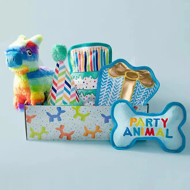 Arm & Hammer Dental Dog Toys