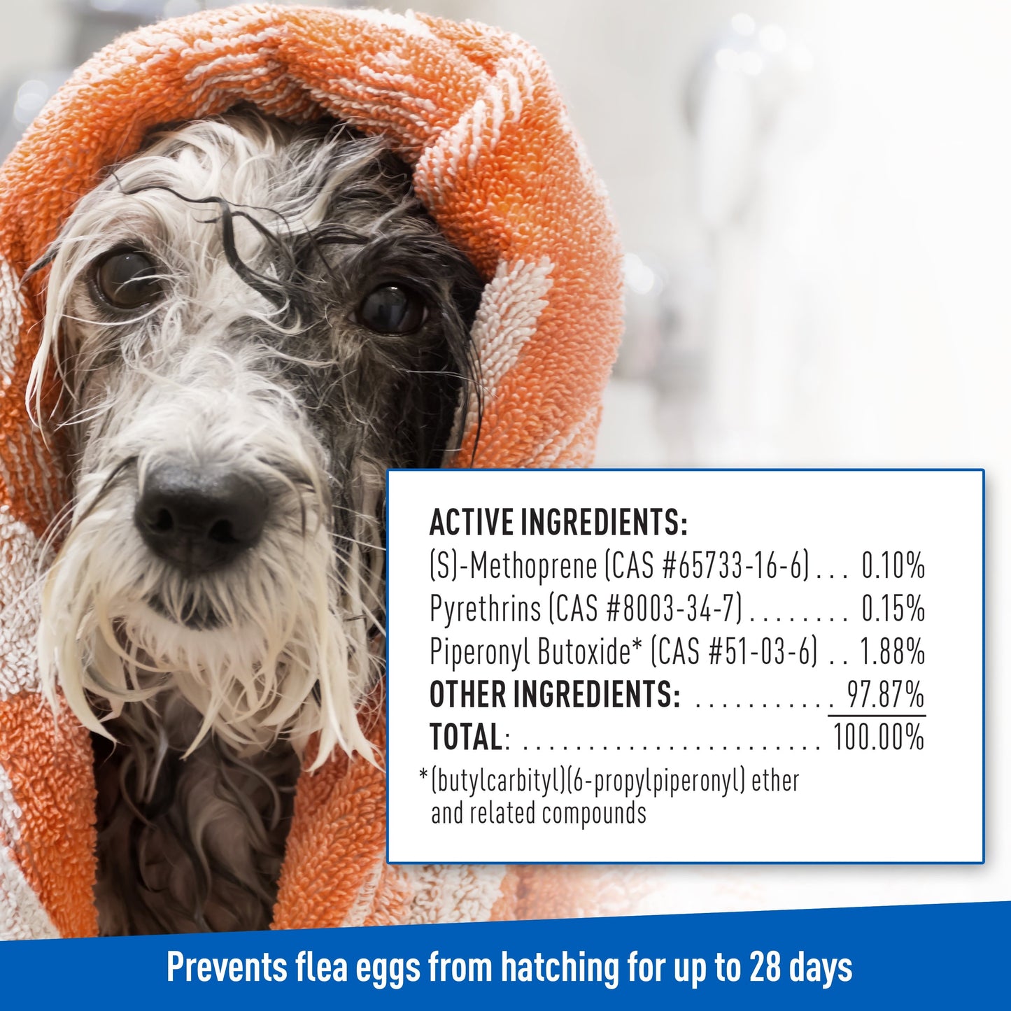 Flea And Tick Shampoo Dogs Foaming Wash 2 Pack ๐