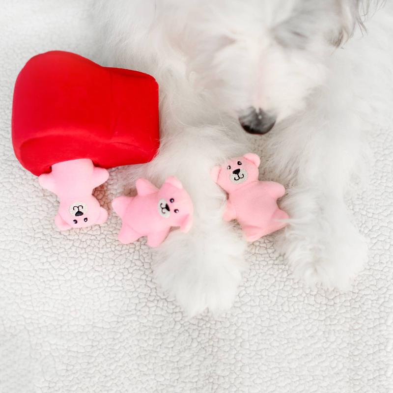 Valentine's Burrow Heart 'n Bears Plush Interactive Dog Toy