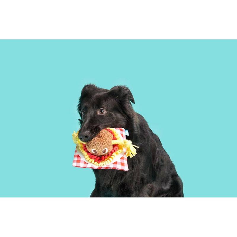 Spaghetti and Meatballs Medley Dog Toy
