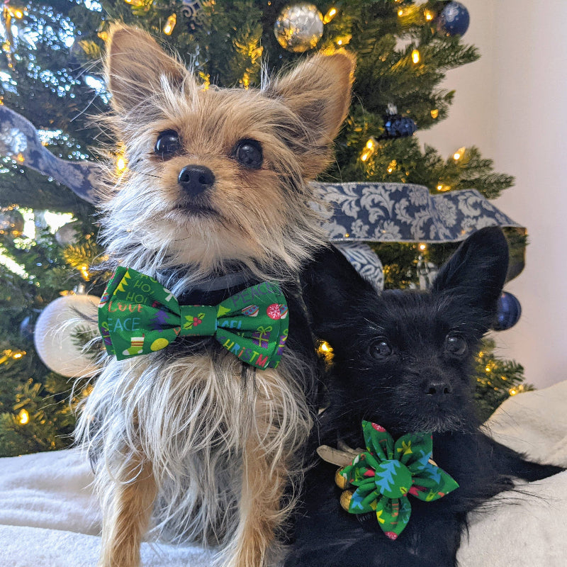 Merry & Bright Pinwheel Pet Collar Attachment - Sz Lg