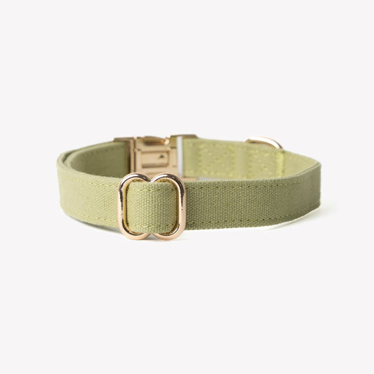 'Green' - Canvas Dog Collar | Purrfect Pet Kingdom