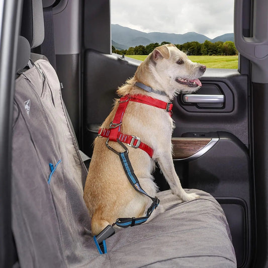 K9 Outdoors Adjustable Dog Seatbelt Tether - Coastal Blue
