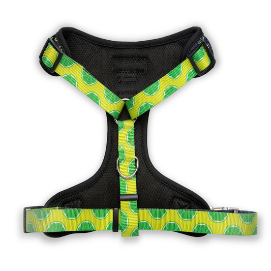 Purrfect Pet Kingdom The Modern Dog Company - Retro Taco Tuesday Harness (Small) - Premium Product