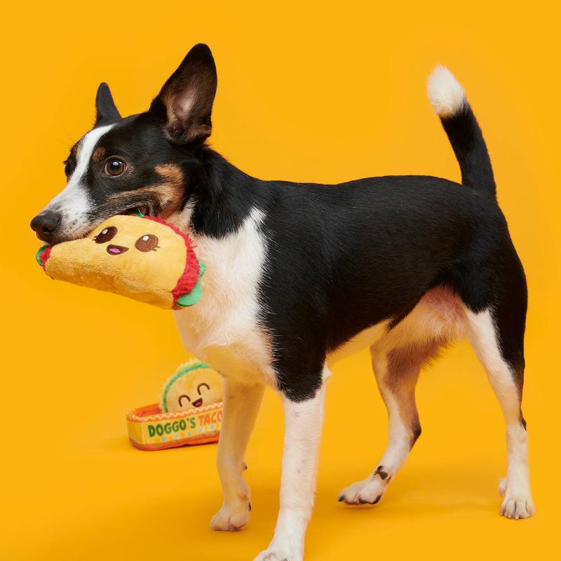 Doggos Tacos Plush Dog Toy Set - 3 Pc