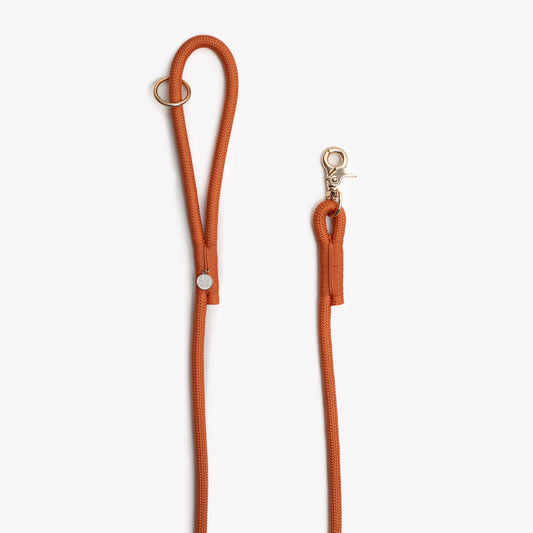 'Terracotta' - Braided Rope Leash Dog Leash | Purrfect Pet