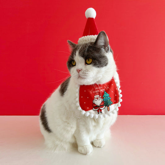Festive Pet Christmas Holiday Hat and Scarf Dress Up Outfit
