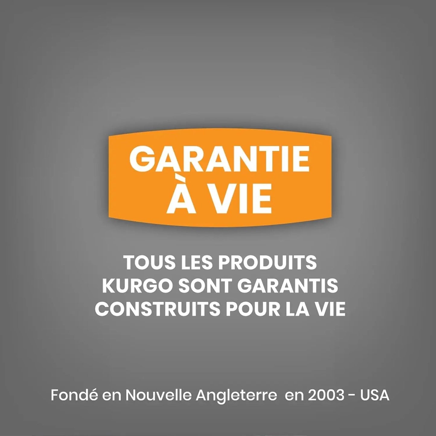 - Nomad Airline Dog Backpack