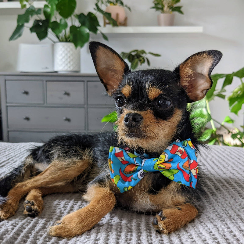 Cinco Fiesta Pet Bow Tie - 3 Sizes