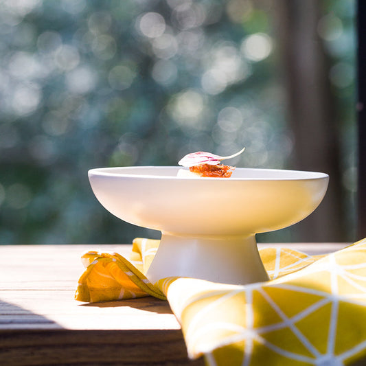 Elevated Ceramic Cat Bowl for Healthy Digestion & Comfort