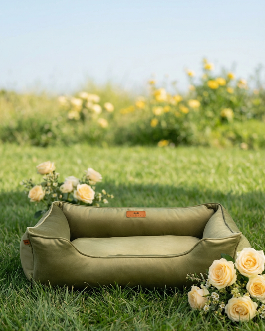 Vibrant Velvet Olive Sleeper for Graceful Comfort and Style main product image for dogs and cats