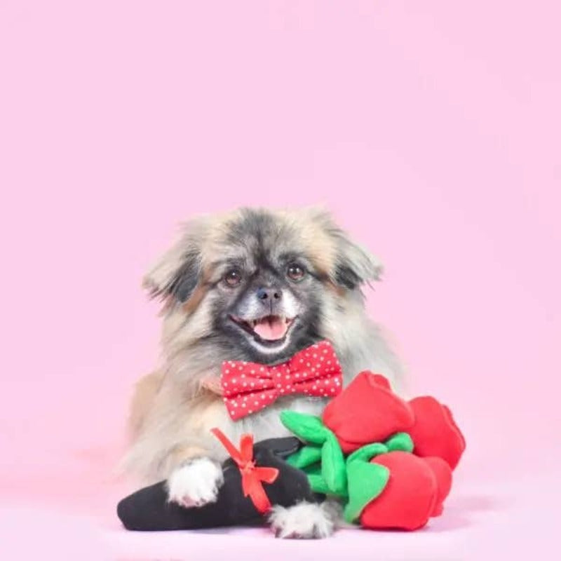 Bouquet of Roses Plush Dog Toy