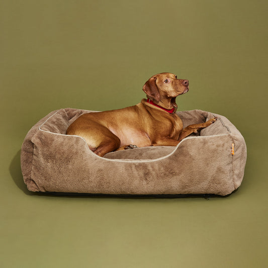 The Sammy Dog Bed