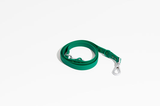 Purrfect Pet Kingdom durable emerald green waterproof dog leash with silver metal hardware, coiled on white.