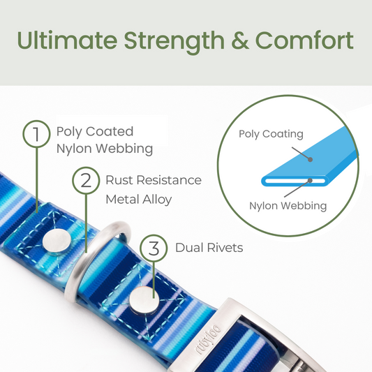 Waterproof Dog Collar Washable Stink-Proof 🐾