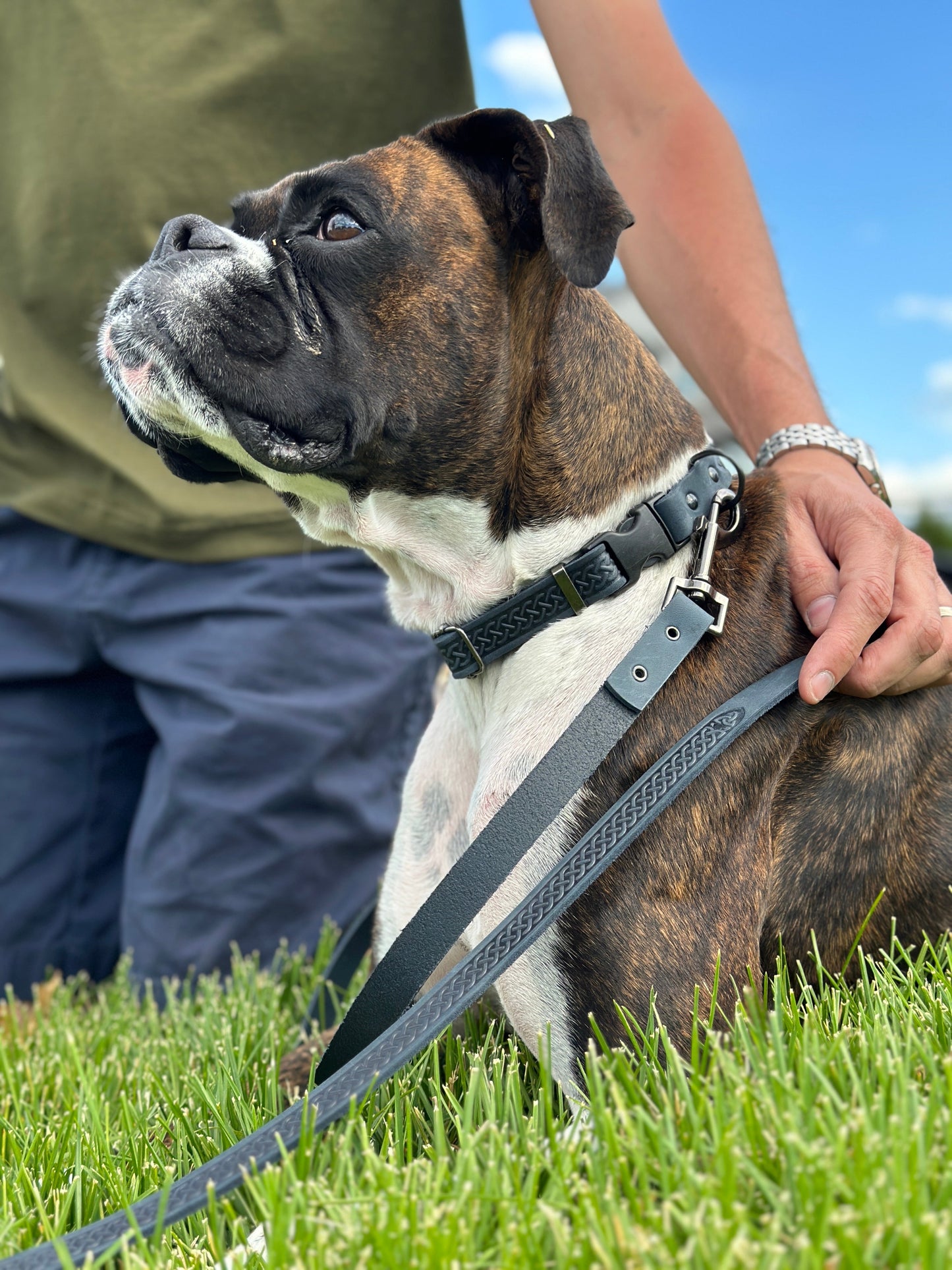 Dog Collar Celtic Sport Blue Jeans Leather Leash for Comfort - detail product image for dog collar