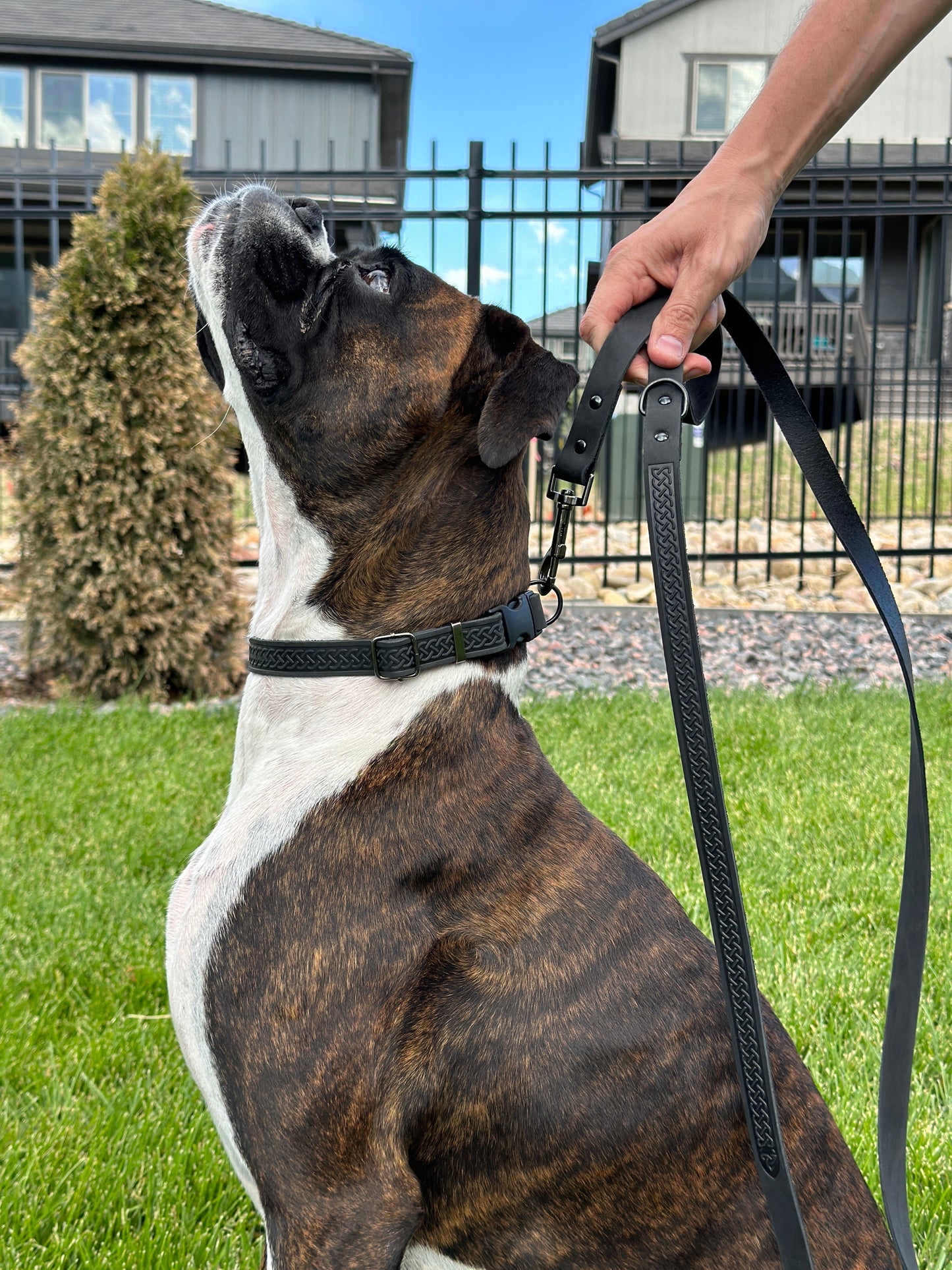 Celtic Sport Midnight Black Leather Dog Leash - dog leash > leather dog leash > quality leather dog leash - Euro - Dog Collars and Leads