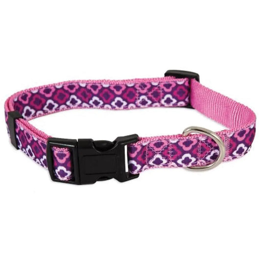 Aspen pet dog collar