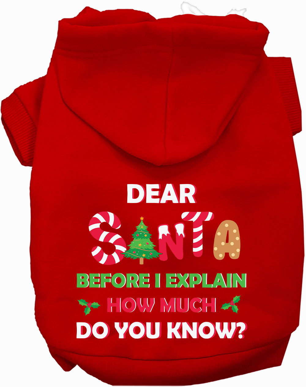 Dog Hoodie Santa How Much Do You Know for Festive Holiday