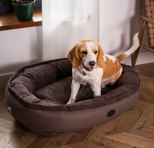 Cuddly Bagel Sleeper for Cozy Dreams and Gentle Comfort main product image for dogs and cats