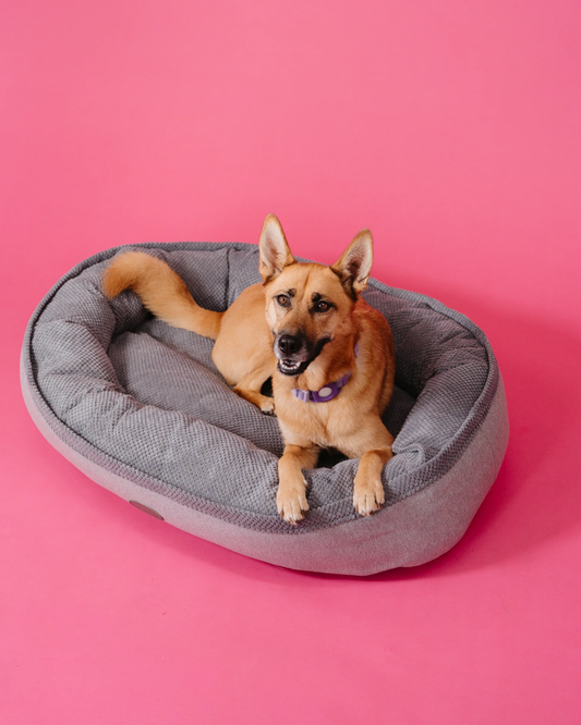 Chester & Lee | Furry Bagel Dog Bed