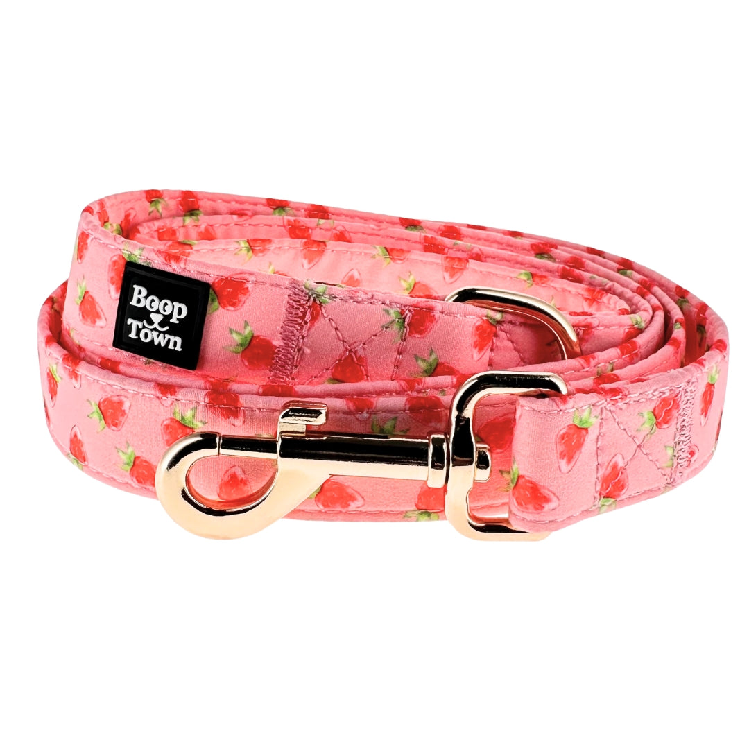 Dog Leash Strawberries Pattern Cotton 5ft 3oz ๐