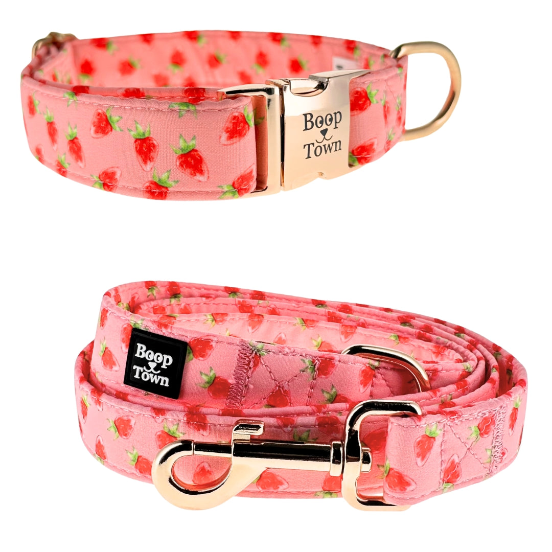 Dog Collar Leash Set Strawberries Pattern 5.5oz ๐