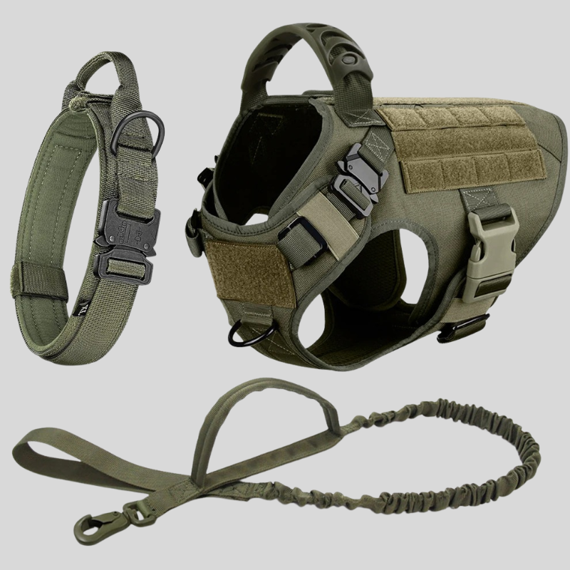 Dog Harness Leash Set Large Training Vest Big Breeds 🦺