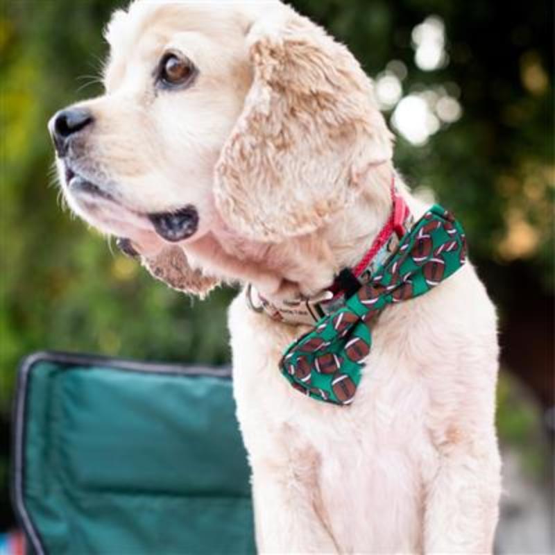 Football Green Dog Bow Tie
