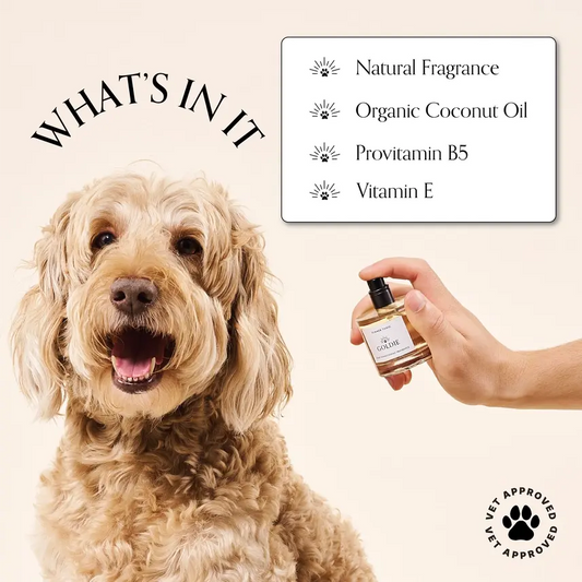 Dog Fragrance - Summer Tonic