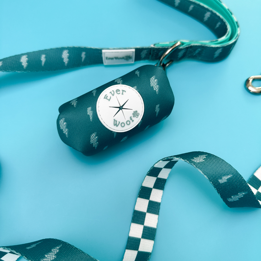 Thunderstruck Leash Dog Leash | Purrfect Pet Kingdom