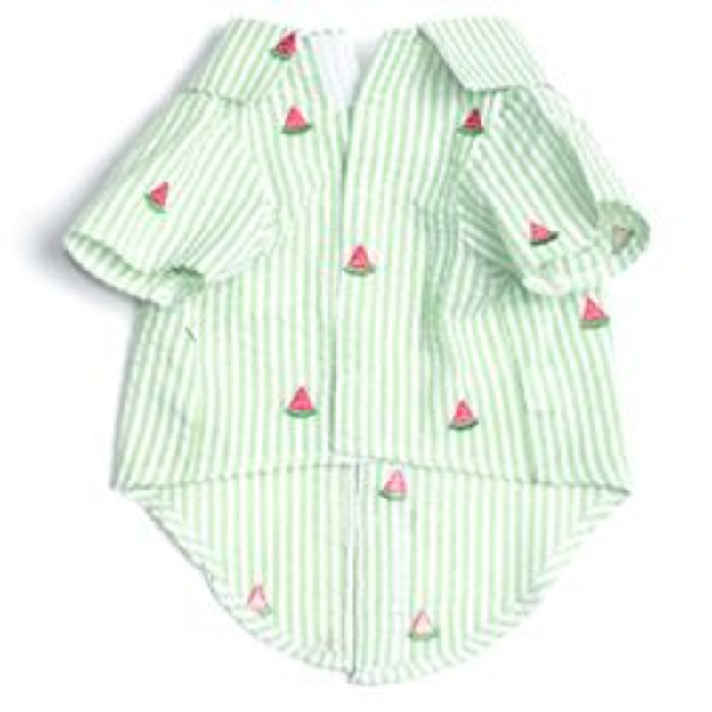 Green Stripe Watermelon Collared Dog Shirt