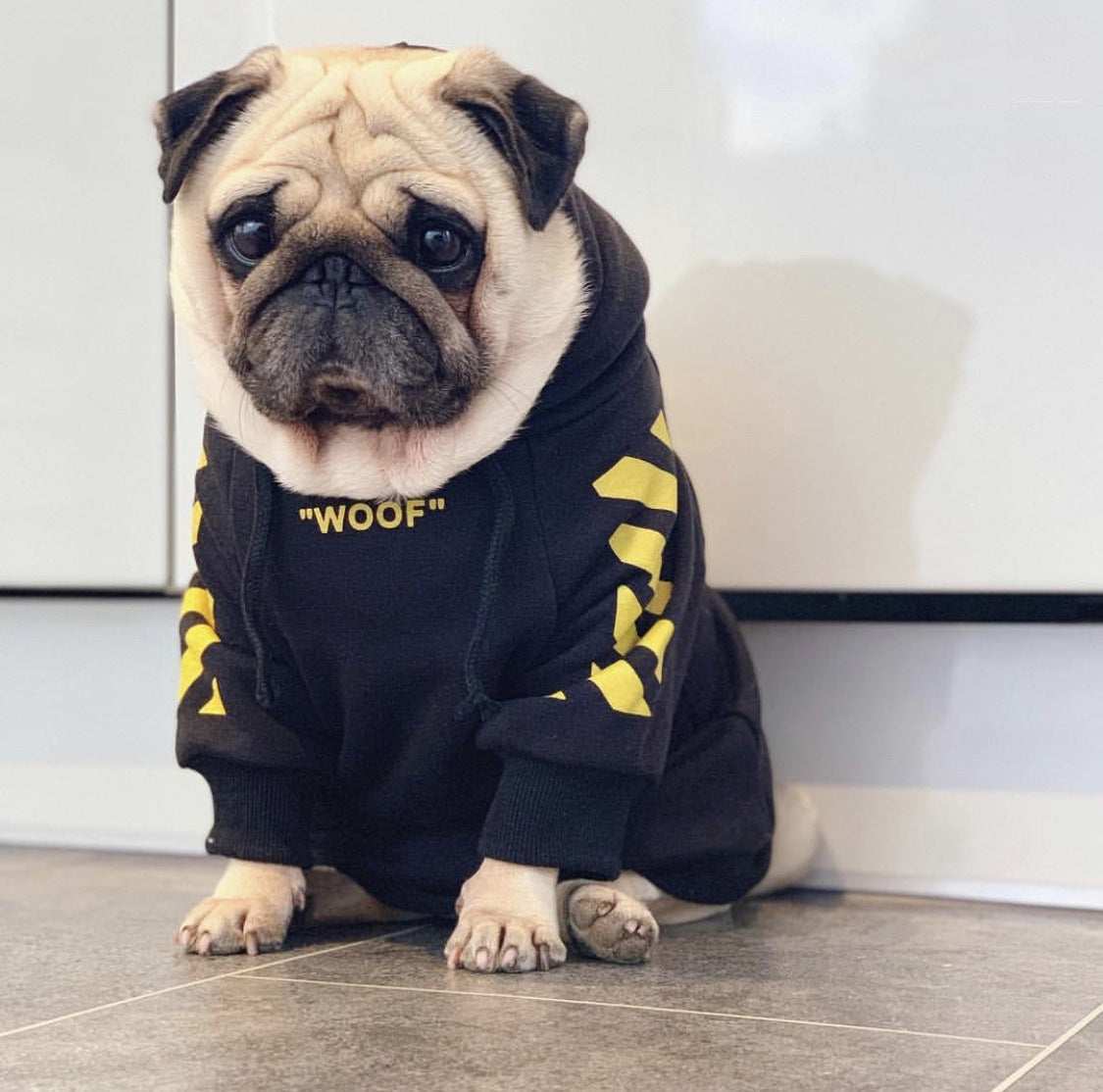 Dog Hoodie Fresh Pawz Woof Stylish Comfortable ๐ถ
