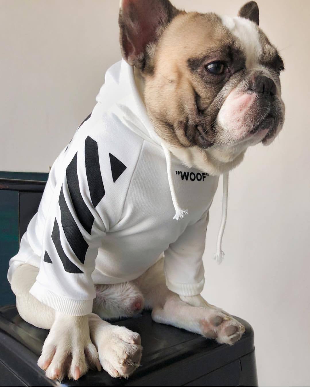 Fresh Pawz Woof Dog Hoodie - Purrfect Pet Kingdom