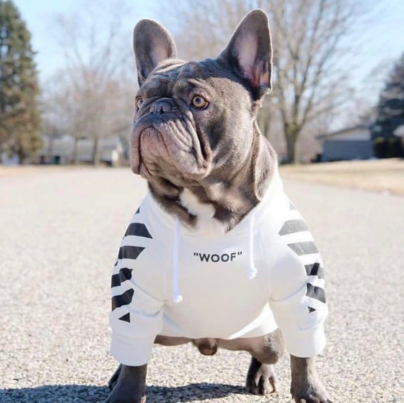 Dog Hoodie Fresh Pawz Woof Stylish Comfortable ๐ถ