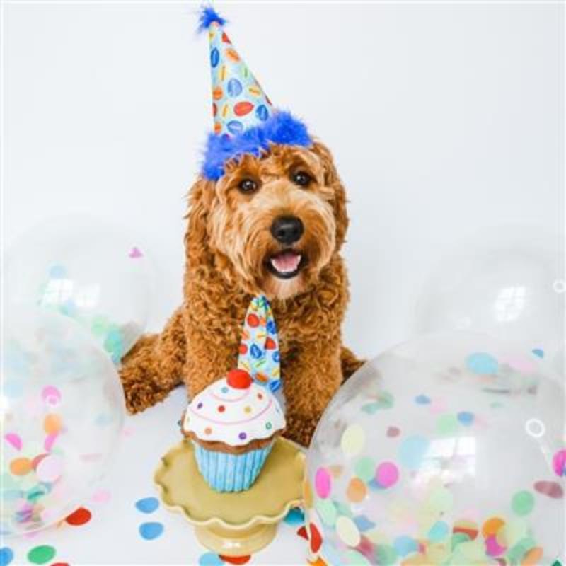 Birthday Party Time Balloons Blue Pet Neck Tie