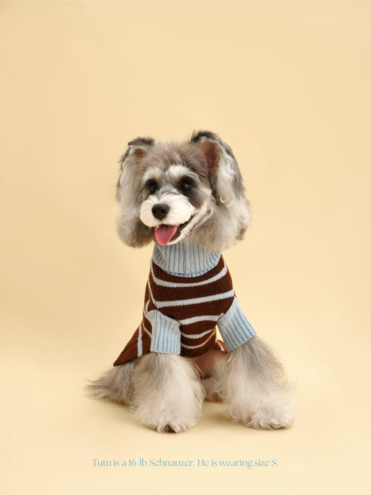 Dog Sweater Bluebell Stripes Two-Tone Turtleneck 🧶