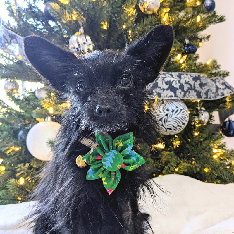 Merry & Bright Pinwheel Pet Collar Attachment - Sz Lg