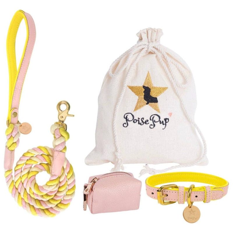 Luxury Leather Dog Collar Sweetest Thing (Pink / Yellow)