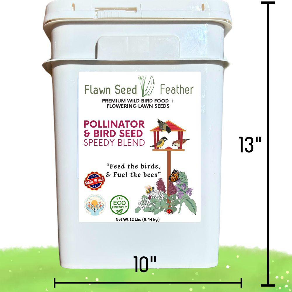 Pollinator & Wild Bird Seed Speedy Blend