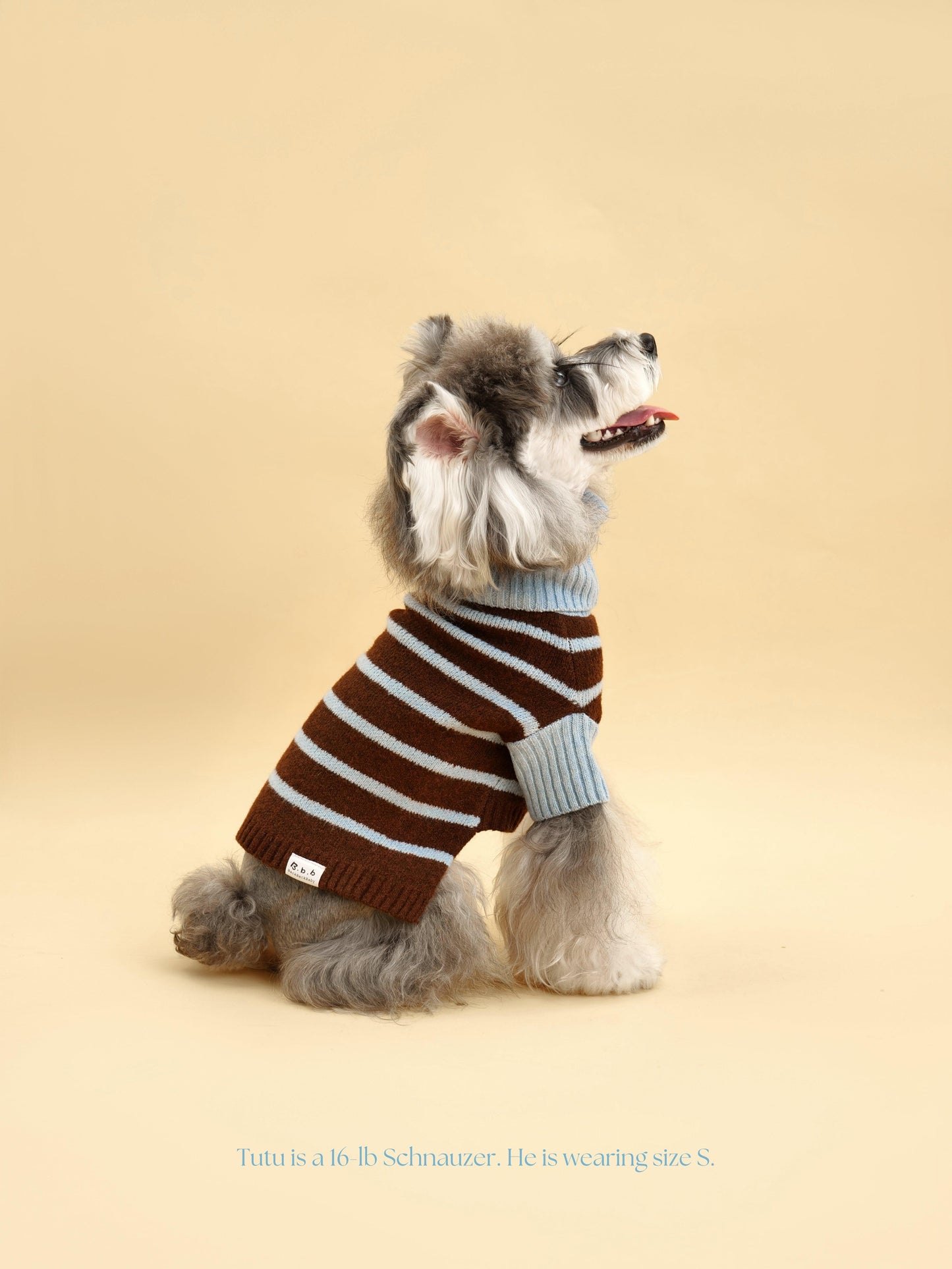 Dog Sweater Bluebell Stripes Two-Tone Turtleneck 🧶