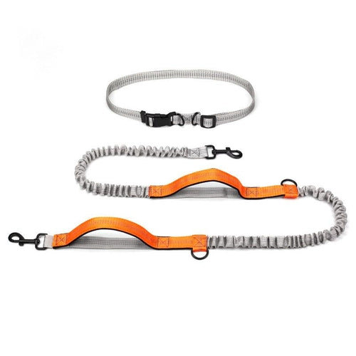 Ultimate Outdoor Adventure Dog Leash - Pets - THRIXINE