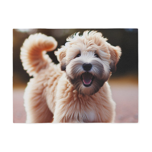 Soft Coated Wheaten Terrier Sweatshirt Blanket