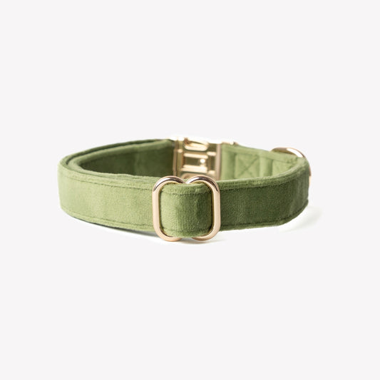 Dog Collars 'Green' Velvet Dog Collar Premium Pet Supply - detail view