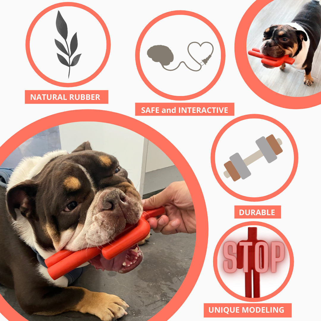 Dog Chew Toy - Dog Toys - Come Here Buddy