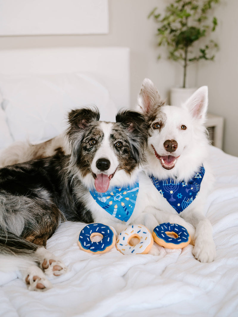Hanukkah Miniz Donutz Holiday Squeaky Dog Toy Set - 3 Pack